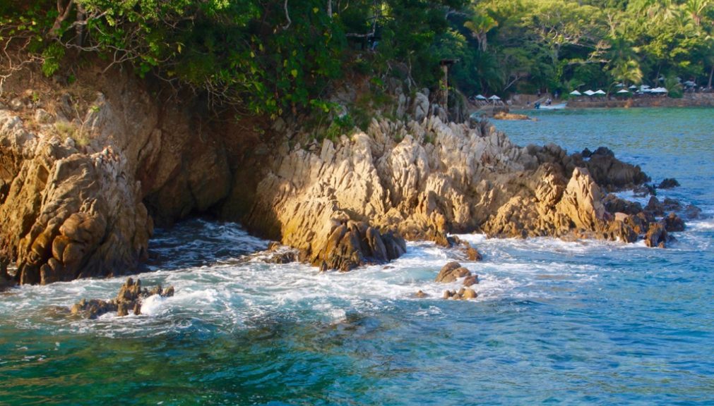 Puerto vallarta flights